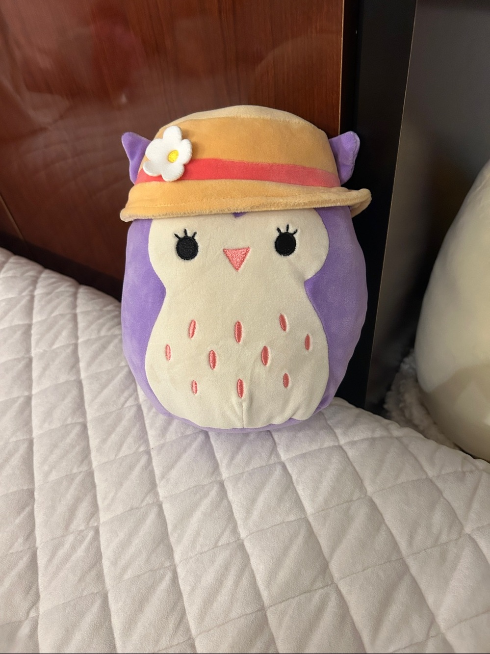 Holly the owl Squishmallow.